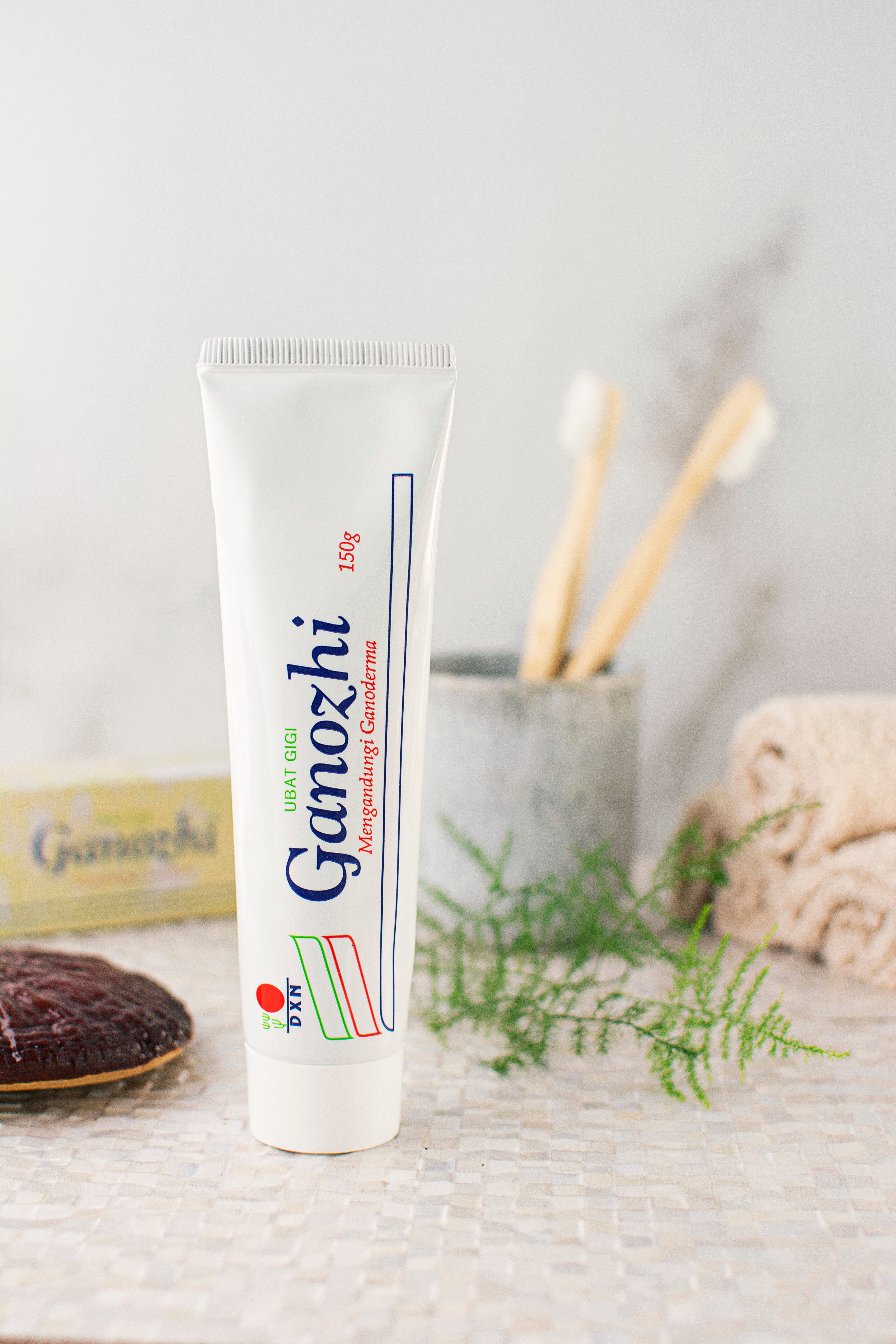 Ganozhi Toothpaste (150g) Ганожи паста за зъби (150г.) (13.01 euro )