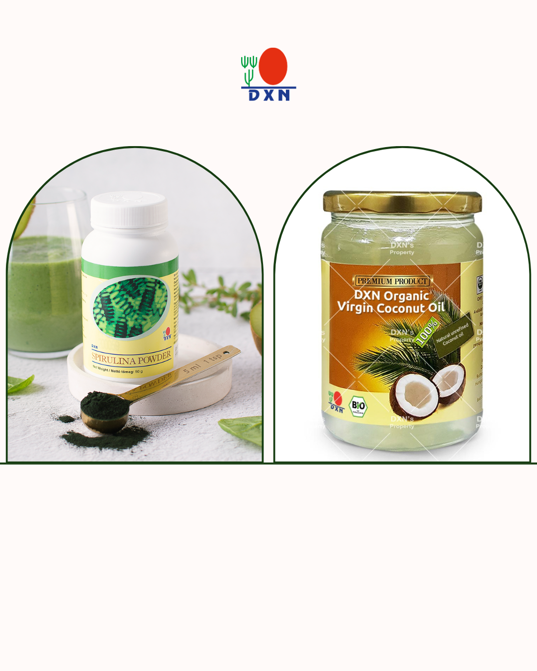 DXN Стартов пакет: Спирулина + Кокосово масло