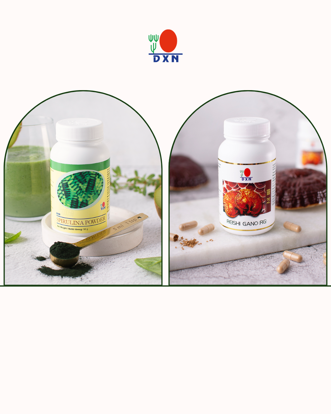DXN Премиум Пакет „Виталност“ Спирулина 500 таблетки + Рейши Гано 90 капсули