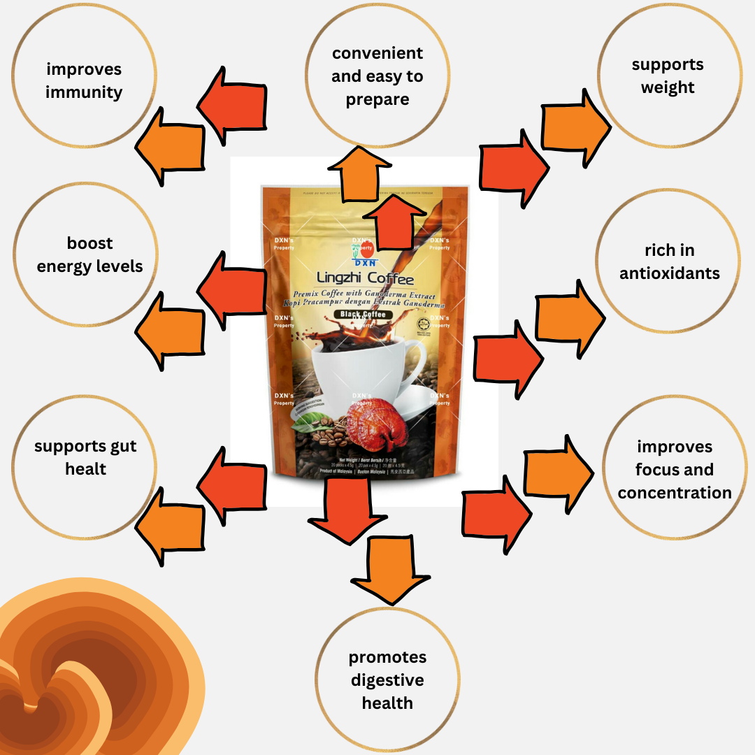 DXN Черно кафе Премиум Сет - чисто без изкуствени добавки с екстракт от Ганодерма(24,97 euro)