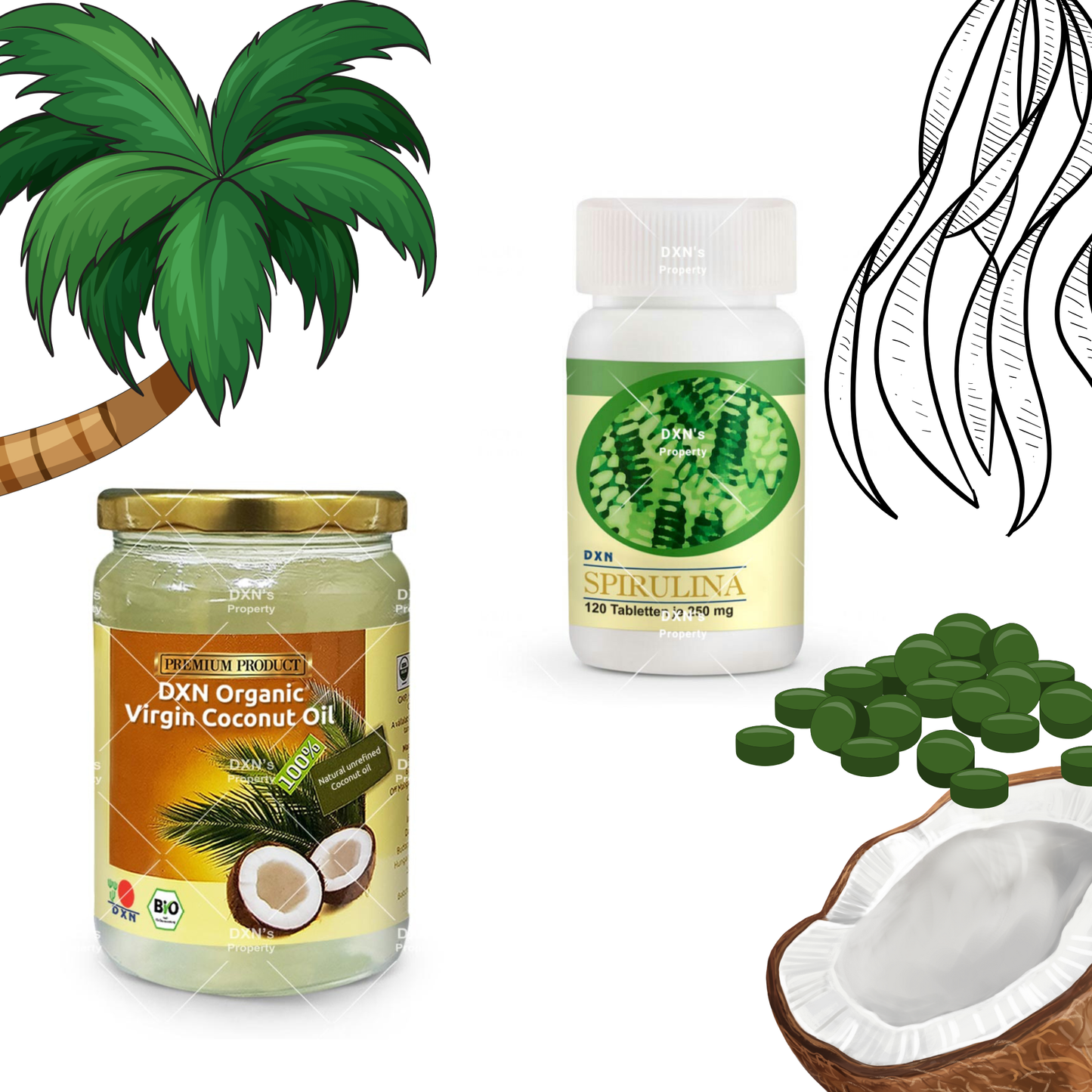 DXN Стартов пакет: Спирулина + Кокосово масло
