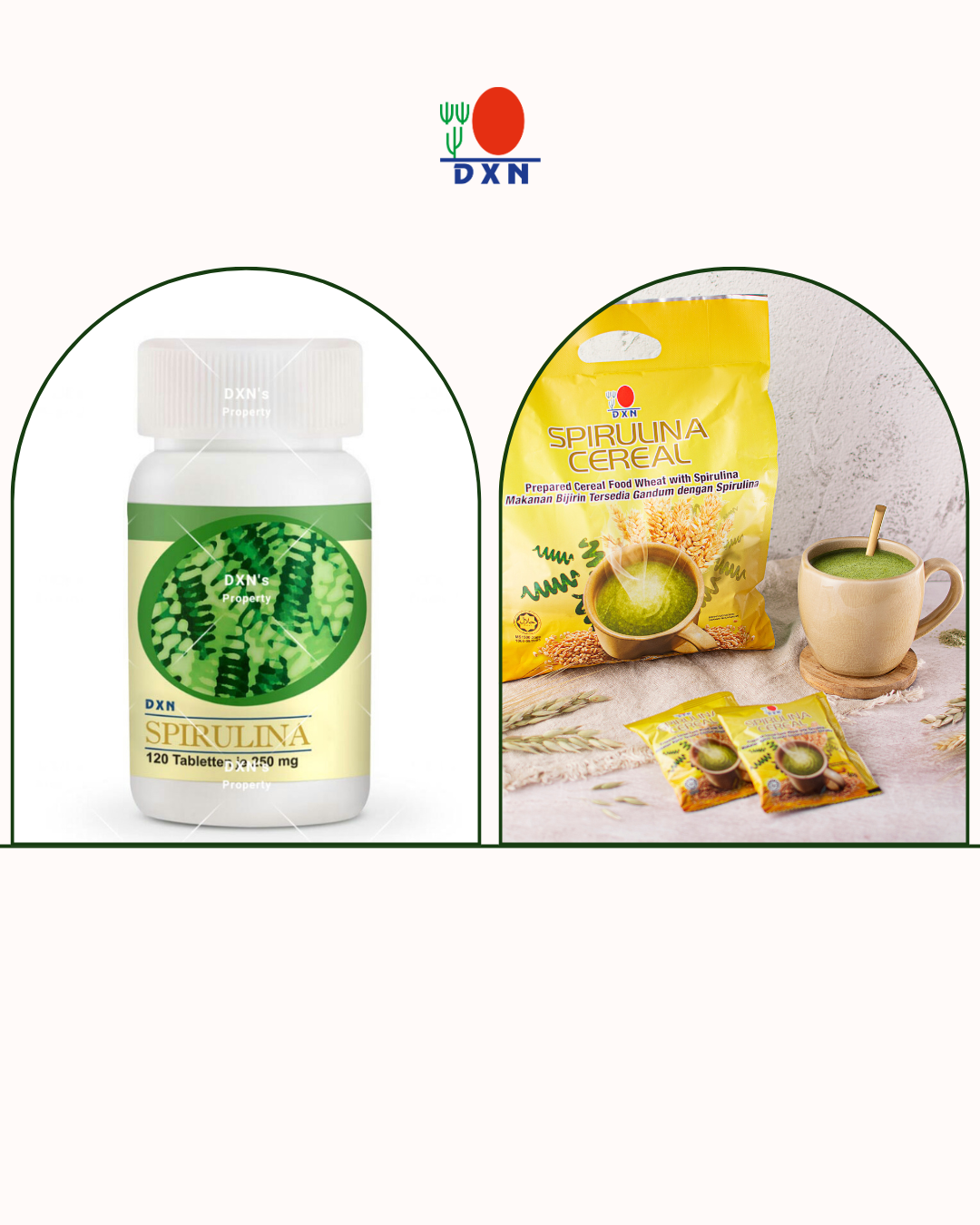 DXN Пълен пакет → Спирулина + Зърнена закуска
